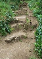 'The Steps' at Lough Gur Heritage Centre